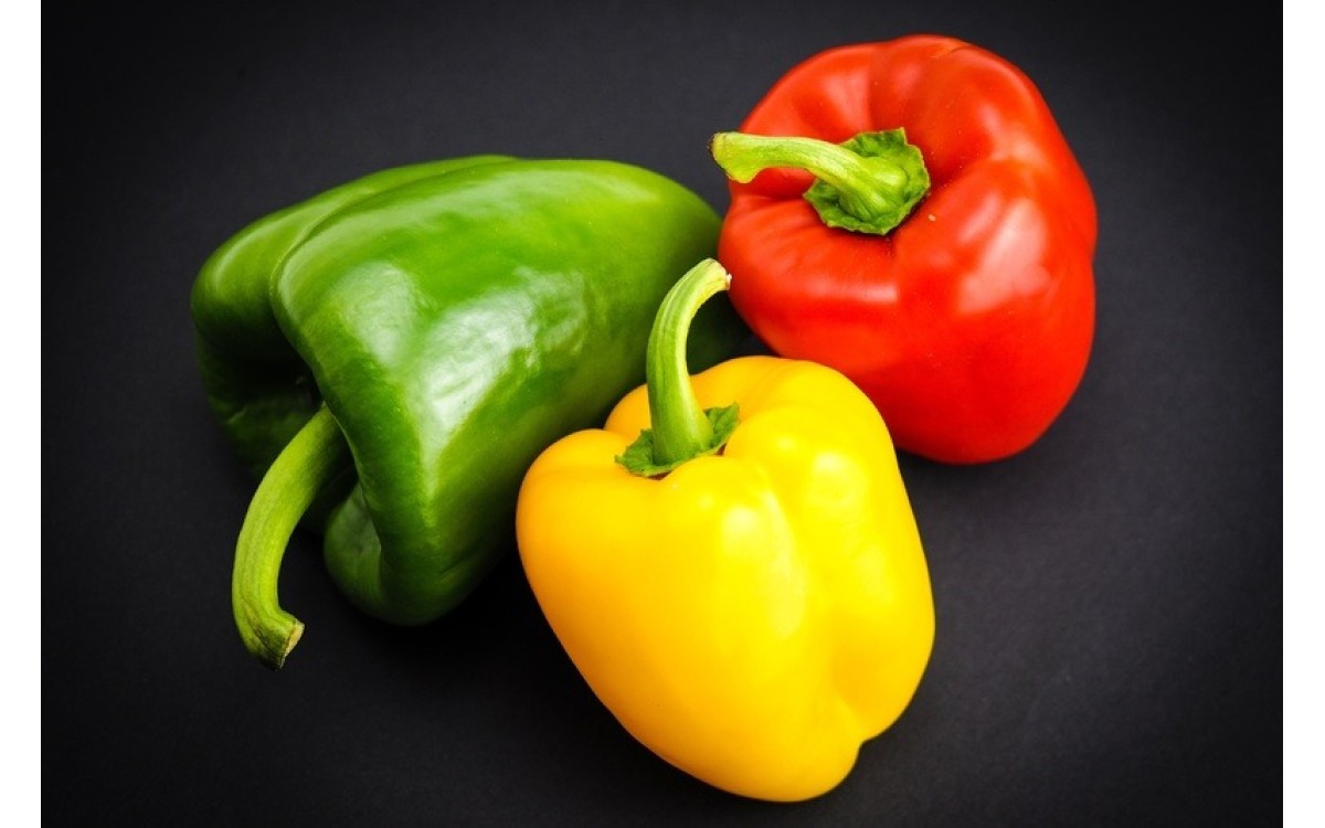 Trồng ớt chu&ocirc;ng như thế n&agrave;o